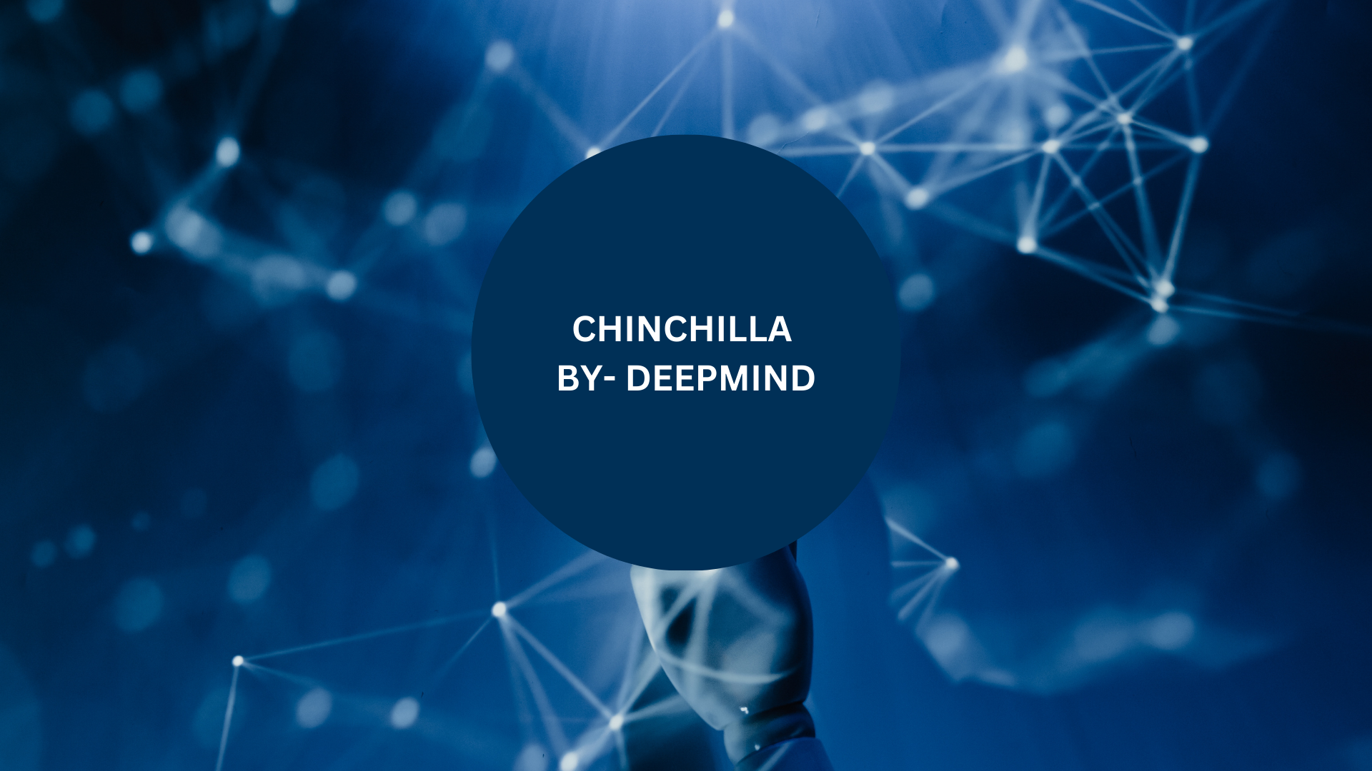 Chinchilla-1