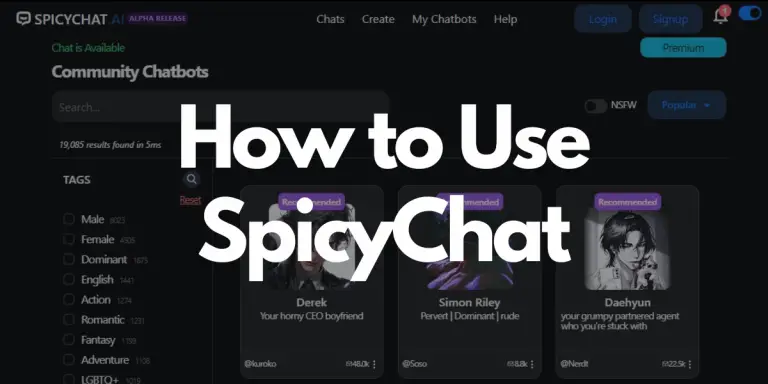 How to Use SpicyChat image