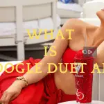 What is Google Duet AI image