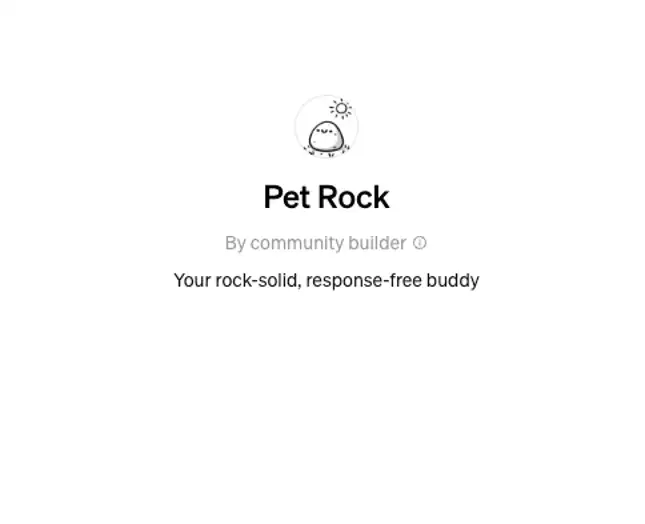 Pet-Rock-image