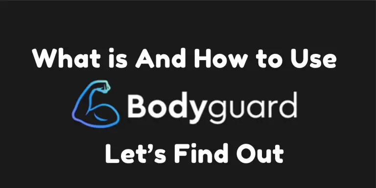 What is Bodyguard AI And How to Use image