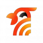 Lazybird Inc icon