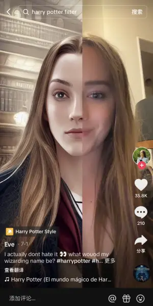 Harry Potter Filter